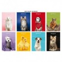 Maxi quaderno Blasetti Best Friends A4 - 80 g/m² - 20 ff - 10M - conf. 10 pezzi - 9220