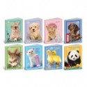 Maxi quaderno Blasetti Best Friends A4 - 80 g/m² - 20+1 ff - C - conf. 10 pezzi - 9222