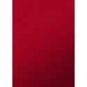 Copertine per la rilegatura Sei Rota Video ROC formato A4 colore rosso conf. 100 pezzi - 52142812