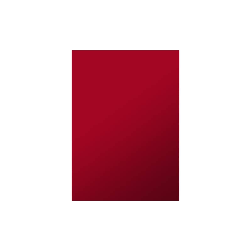 Copertine per la rilegatura Sei Rota Video ROC formato A4 colore rosso conf. 100 pezzi - 52142812