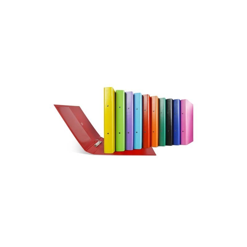 Raccoglitore Sei Rota Nettuno - 2 anelli a R 30 mm - A4 - dorso 3,5 cm - conf. 10 pz colori assortiti - 36773199