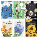 Biglietti augurali Biembi Compleanno 12x18 cm conf. 6 pezzi assortiti - coccinelle - BXBDKTC06