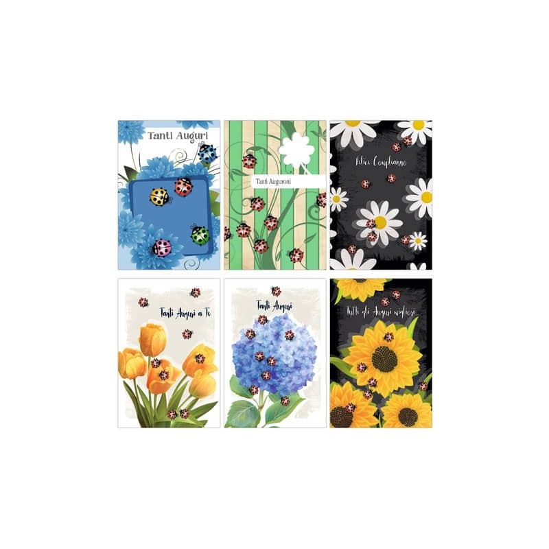 Biglietti augurali Biembi Compleanno 12x18 cm conf. 6 pezzi assortiti - coccinelle - BXBDKTC06