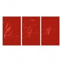 Biglietti Biembi Midi Da Vinci Compleanno e Auguri 9x14 cm conf. 18 pz assortiti rosso - BXBDKTC11