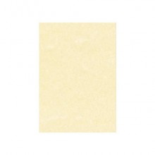 Carta pergamenata Decadry Linea Corporate A3 champagne 165 g/m² Conf. 25 fogli - T105027