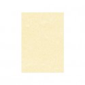 Carta pergamenata Decadry Linea Corporate A4 165 g/m² champagne Conf. 50 fogli - T105077