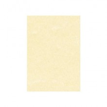 Carta pergamenata Decadry Linea Corporate A4 165 g/m² champagne Conf. 50 fogli - T105077