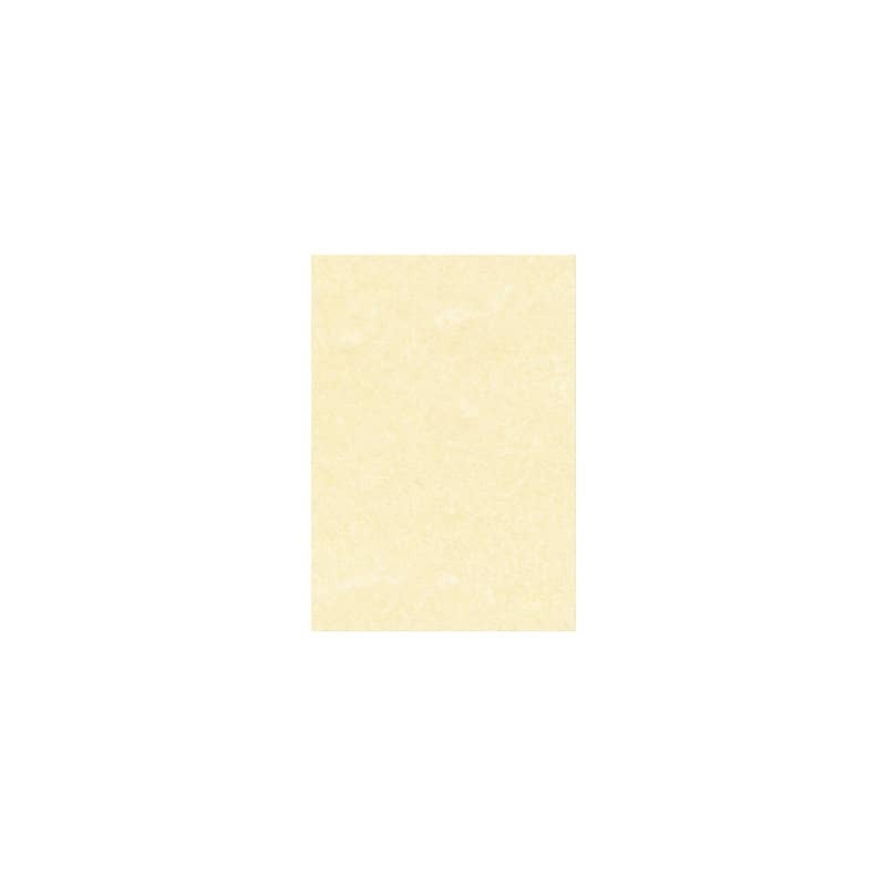 Carta pergamenata Decadry Linea Corporate A4 165 g/m² champagne Conf. 50 fogli - T105077