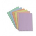 Maxi quaderno Pigna Monocromo 80 gr - fogli 20+1 colori pastel assortiti rigatura C - 02298900C (Conf.10)