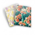 Cartella a 3 lembi Pigna Nature Flowers A4 dorso 1,2 cm 02303643L (Conf.6)