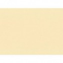 Tovagliette monouso Le Nappage in carta paglia 30x40 cm crema - conf. 500 pz - EYTVT1130