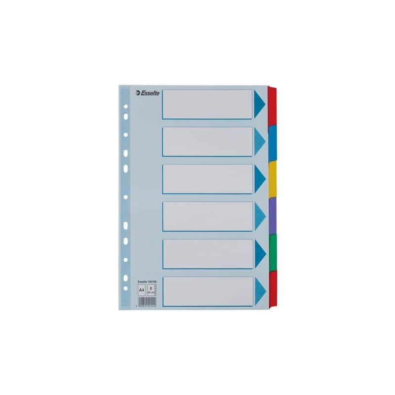 Divisori intercalari Esslete Mylar A4 - conf. 20 ff da 6 tasti colorati cad. - 100168