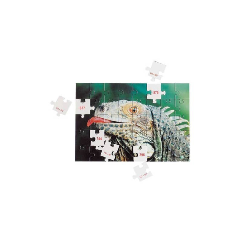 Mathpuzzle ADDIZIONI entro il 1000  LFSC23467