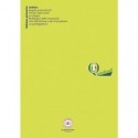 Maxi quaderno Logos Quirebook A4 - 80 g/m² - 40 ff - 1R - verdino - italiano primaria (Conf.10)