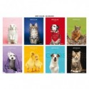 Maxi quaderno Blasetti One Color Pet A4 80 g/m² - conf. 10 pz - 0B 7902