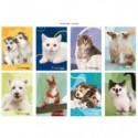 Maxi quaderno Blasetti One Color Cucciolissimi A4 80 g/m² - conf. 10 pz - 10 mm con margine - 8273