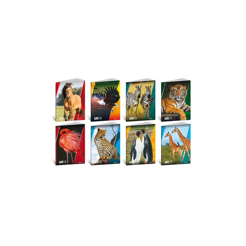 Maxi quaderno Blasetti Life A4 18+1 ff carta 100 g/m² conf. 10 pz - rigatura 5 mm - 7479