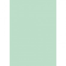 Cartellina semplice Brefiocart Color 24,5x35 cm cellulosa 200 g/m² verde menta chiaro - conf. 50 pz - 0205510.VC