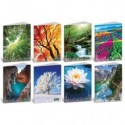 Maxi quaderno Blasetti Quadecò A4 - 80 g/m² - 20 ff - C - conf. 10 pezzi - 4773