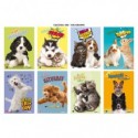 Maxi quaderno Blasetti Cuccioli A4 - 100 g/m² - 18 ff - 10M - conf. 10 pezzi - 8621