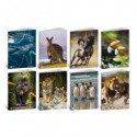 Maxi quaderno Blasetti Animal Cut A4 - 80 g/m² - 20 ff - 4F - conf. 10 pezzi - 9238