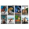Maxi quaderno Blasetti Animali A4 - 100 g/m² - 18+1 ff - 10M - conf. 10 pezzi - 9001
