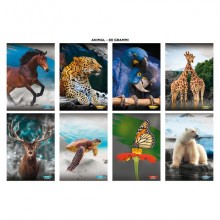 Maxi quaderno Blasetti Animali A4 - 100 g/m² - 18+1 ff - 10M - conf. 10 pezzi - 9001