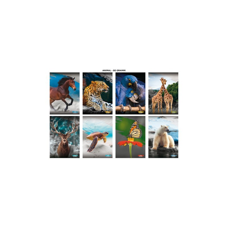 Maxi quaderno Blasetti Animali A4 - 100 g/m² - 18+1 ff - 10M - conf. 10 pezzi - 9001