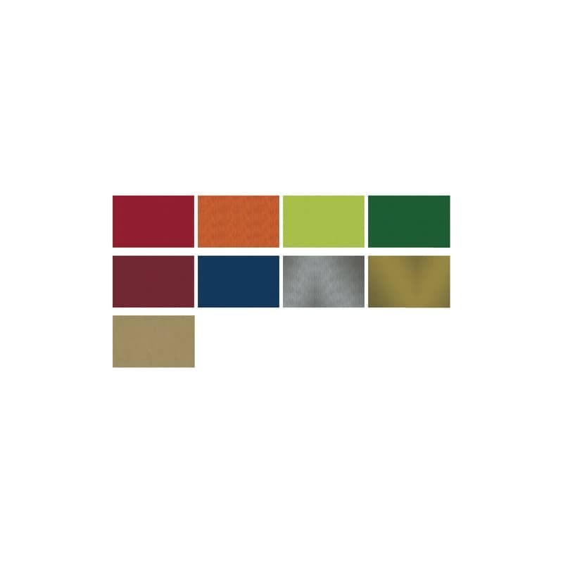 Carta regalo Big Ecocolor 100x140 cm conf. 50 fogli Rex-Sadoch tinte unite assortite - S5550ECO