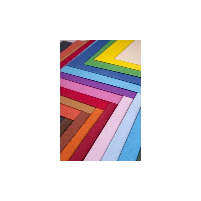 Cartoncino colorato Fabriano Elle Erre 50x70 cm 220 g conf. 20 fogli - cedro - 42450725