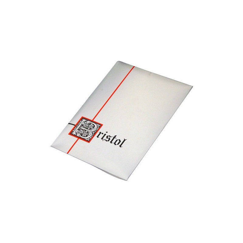 Plichi Blasetti 10 biglietti più 10 buste - conf. 50 pz - 80 g 75x112 mm 583