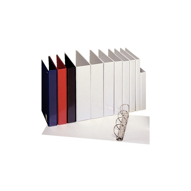Raccoglitore ad anelli personalizzabile Esselte Essentials 4xD.60 -  f.to 22 x 30 cm blu - 49718