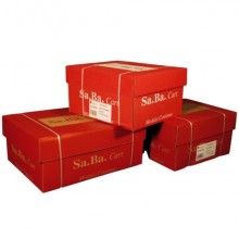 Moduli continui in carta bianca Sabacart 24x11" 60 g/m² piste staccabili - conf. 2000 fogli - S01240116000