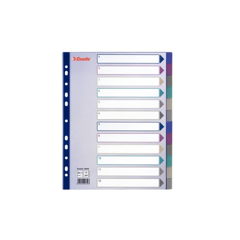 Divisore Esselte Intercalare 12 tasti A4 Maxi 20649