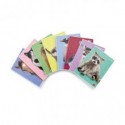 Maxi quaderno Pigna Dolci Cuccioli A4 - 80 g/m² - 21 ff - A - assortiti - 02330170A (Conf.10)