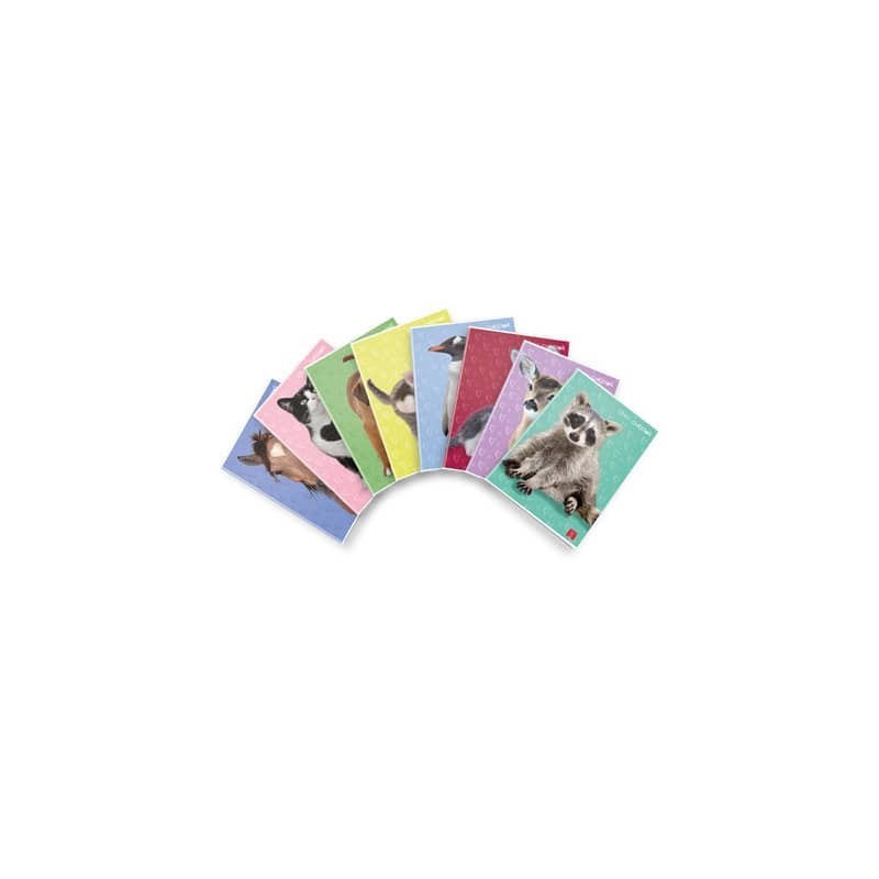Maxi quaderno Pigna Dolci Cuccioli A4 - 80 g/m² - 21 ff - A - assortiti - 02330170A (Conf.10)