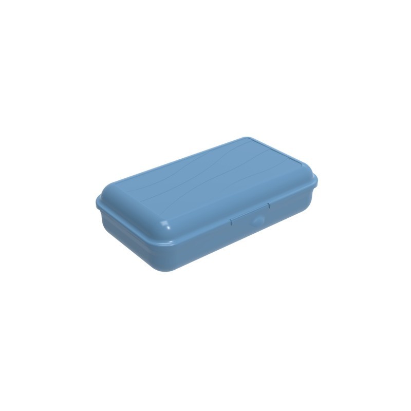 Lunch box Rotho Fun L 1,7 L con divisorio interno in plastica PP senza BPA blu - F711123