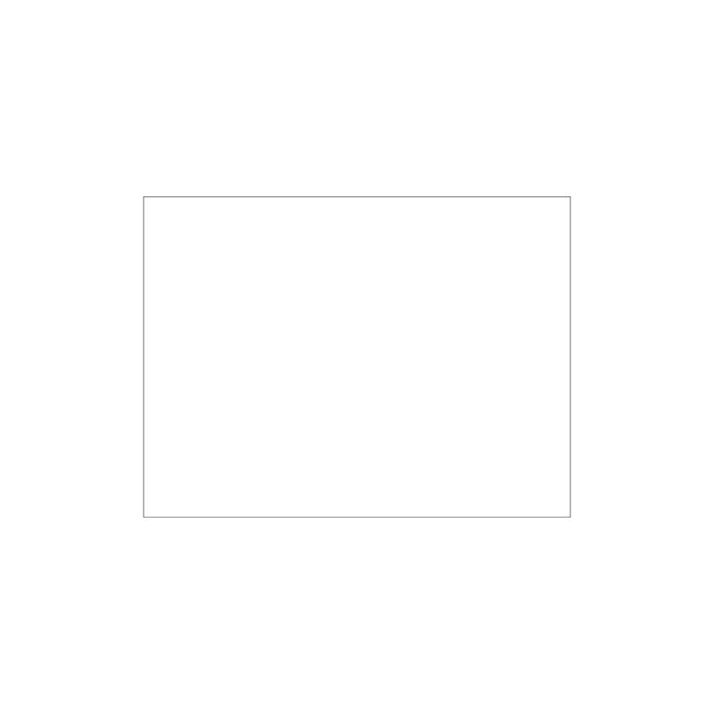 Tovaglietta Ristocart in carta bianca liscia 55 g conf. 250 pz 30x40cm EYTVT1157