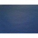 Tovaglietta Ristocart in carta paglia neutra tinta in massa 30x40 cm conf. 250 pz blu - WRTVT1139