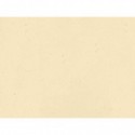 Tovaglietta Ristocart in carta paglia neutra tinta in massa 30x40 cm conf. 250 pz verde - WRTVT1138