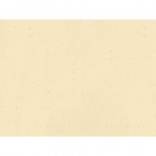 Tovaglietta Ristocart in carta paglia neutra tinta in massa 30x40 cm conf. 250 pz verde - WRTVT1138