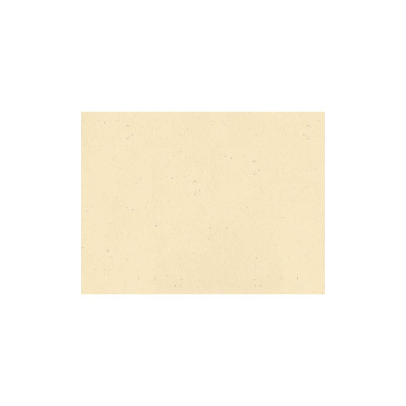 Tovaglietta Ristocart in carta paglia neutra tinta in massa 30x40 cm conf. 250 pz verde - WRTVT1138
