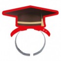 Frontini in carta Big Party a tema Laurea - conf. 4 pz - 75267 (Conf.3)