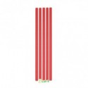 Cannucce in carta Ecolor Ø 0,5 cm rosso - conf. 50 pz - 74034 (Conf.4)