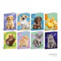 Maxi quaderno Blasetti Best Friends A4 - 80 g/m² - 20+1 ff - 4M - conf. 10 pezzi - 9217