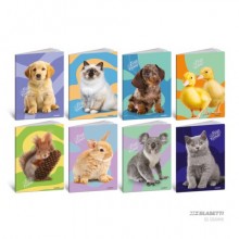 Maxi quaderno Blasetti Best Friends A4 - 80 g/m² - 20+1 ff - 4F - conf. 10 pezzi - 9218
