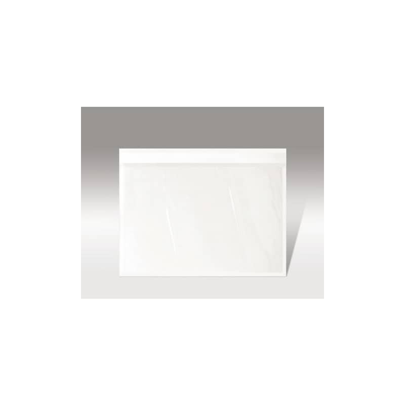 Buste autoadesive portadocumenti WePack f.to 24x18 cm trasparente neutra conf. da 100 buste - 240180100N