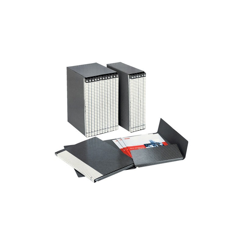 Guppo di 6 cartelle con custodia Esselte Delso Line I51 conf. da 6 pezzi Esselte dorso 3 cm - 390956040