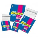 Blocco punto met. Blasetti BRISTOL copertina patinata 115 gr quad. 5 mm A4 21X29,7 cm - 1034 (Conf.10)