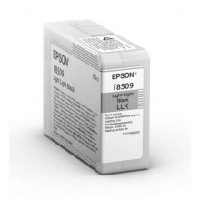 Cartuccia inkjet Epson nero chiaro  C13T850900